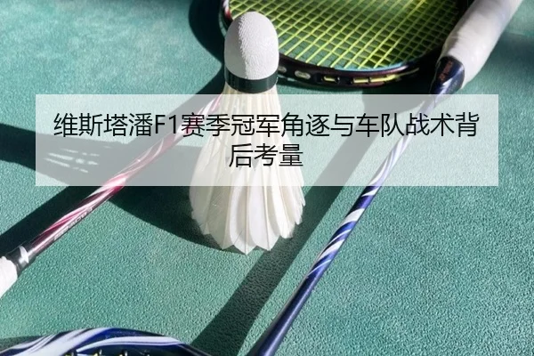 维斯塔潘F1赛季冠军角逐与车队战术背后考量